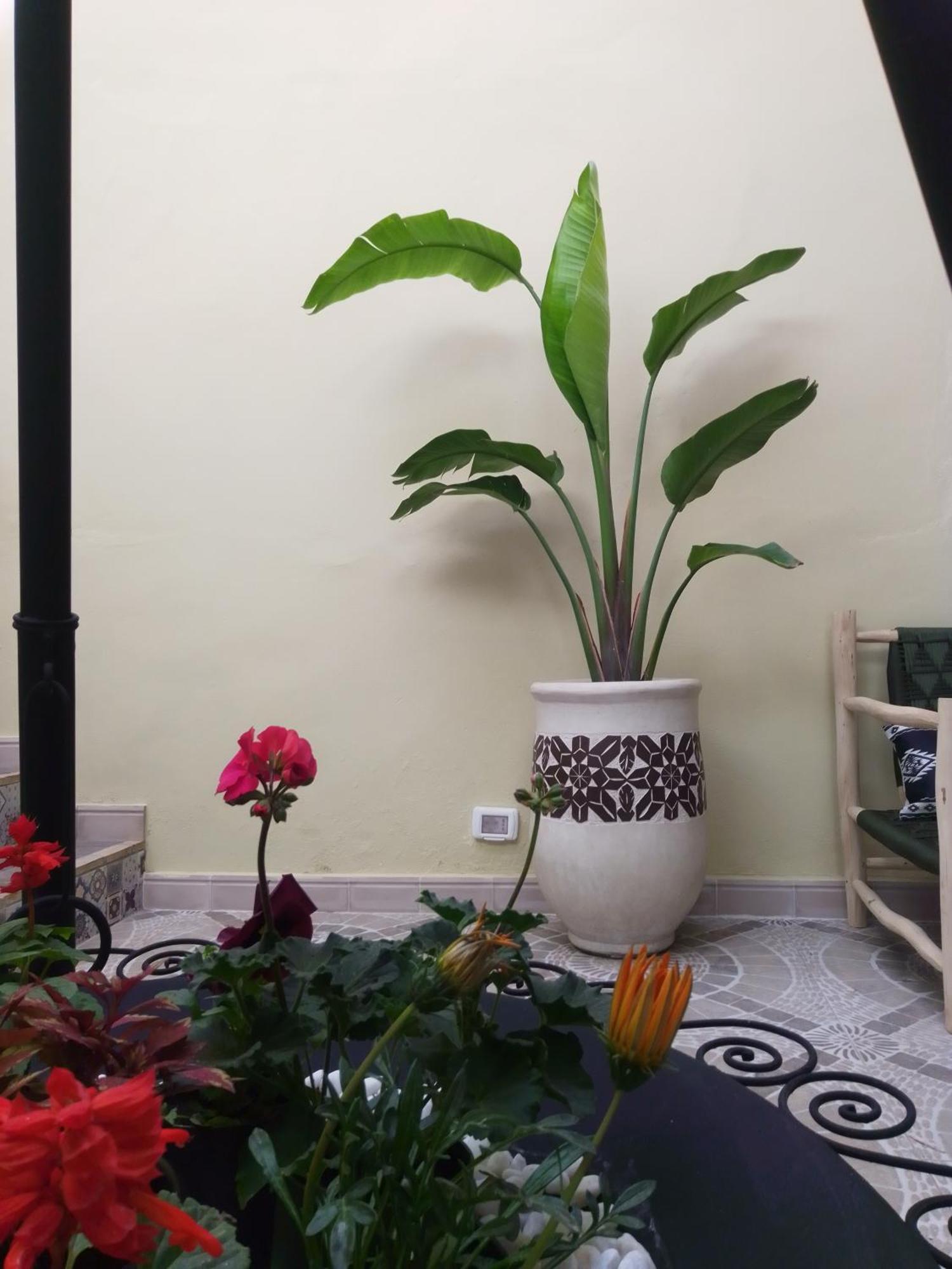 Riad Bouganville Bleu Marrakesh Ngoại thất bức ảnh