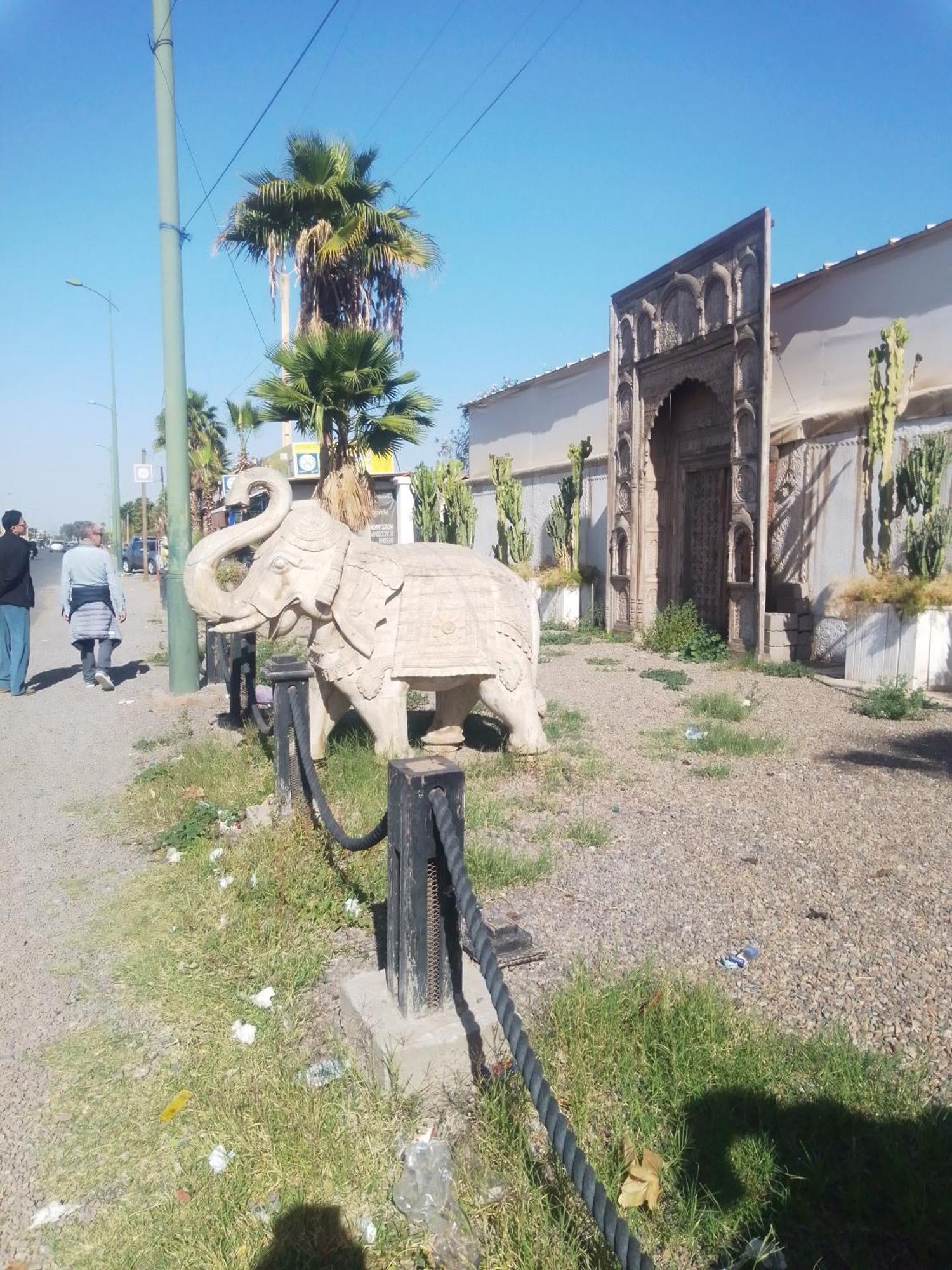 Riad Bouganville Bleu Marrakesh Ngoại thất bức ảnh